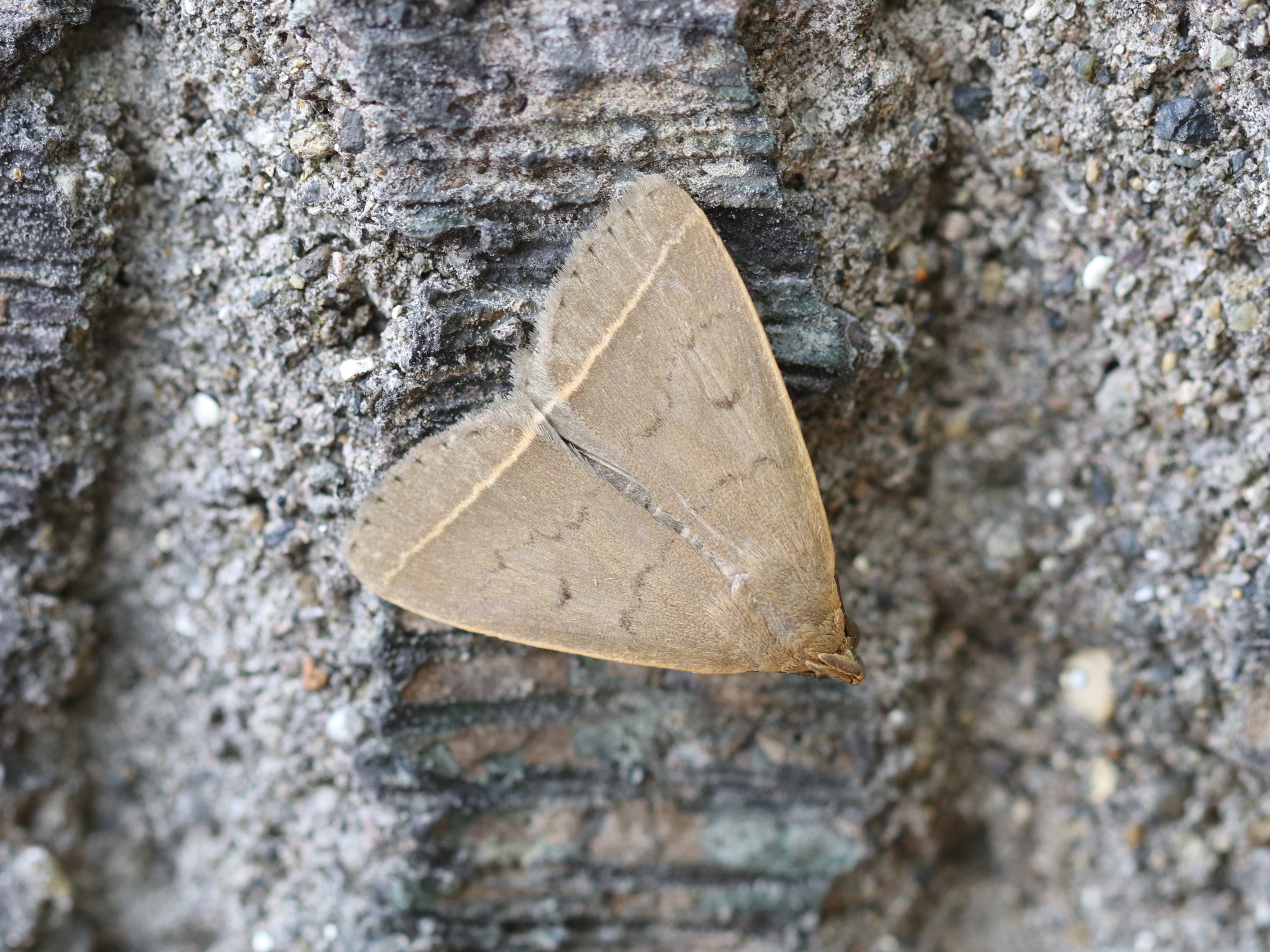 photo_1